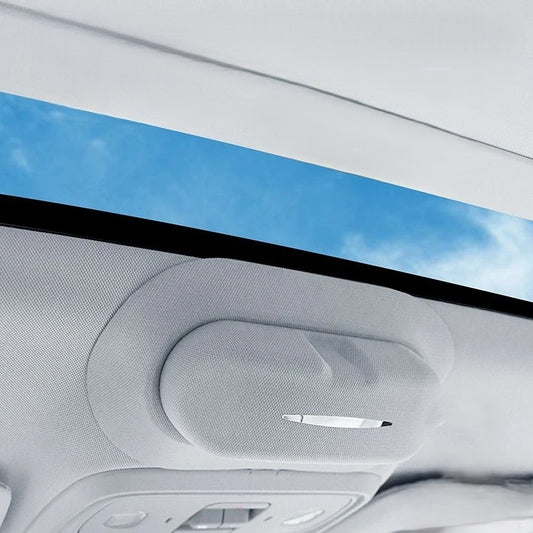 LEAPMOTOR Car Glasses Case Eyewear Holder