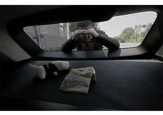 Leapmotor C10 2024+ Car Trunk Cargo Cover